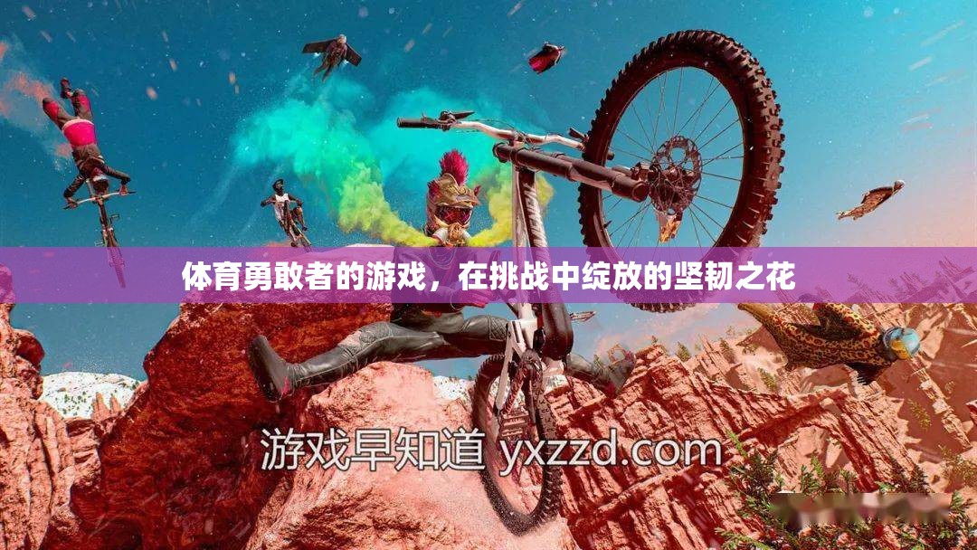 體育勇敢者的游戲，在挑戰(zhàn)中綻放的堅(jiān)韌之花