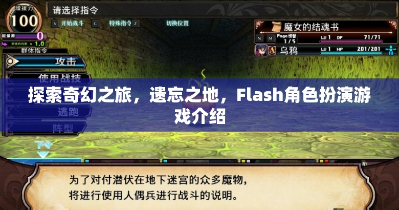 探索奇幻之旅，遺忘之地的Flash角色扮演游戲