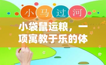 寓教于樂(lè)，小袋鼠運(yùn)糧體育游戲教案設(shè)計(jì)