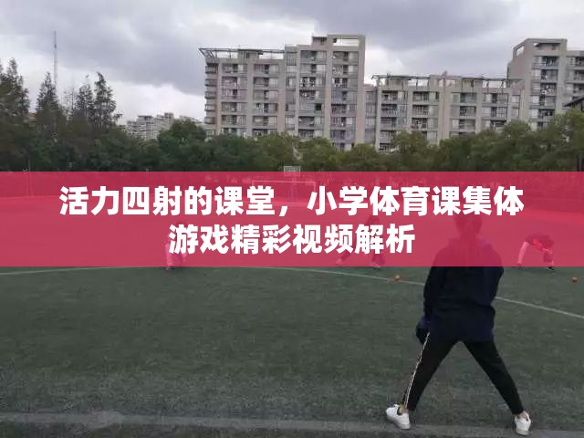 活力四射的課堂，小學(xué)體育課集體游戲精彩視頻解析