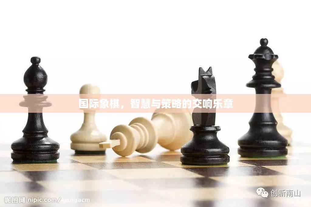 智慧與策略的交響，國際象棋的魅力