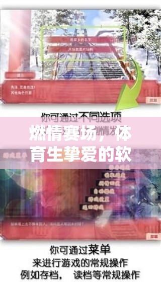 燃情賽場(chǎng)，體育生摯愛的軟件游戲精選