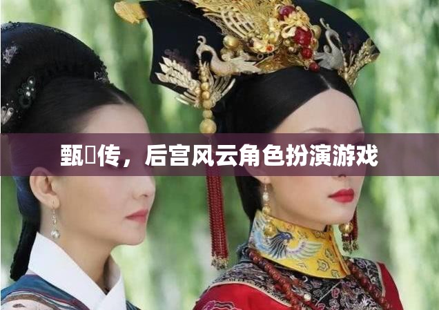 甄嬛傳，后宮風(fēng)云角色扮演游戲