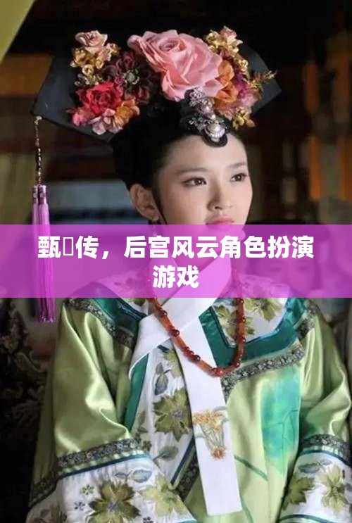 甄嬛傳，后宮風(fēng)云角色扮演游戲