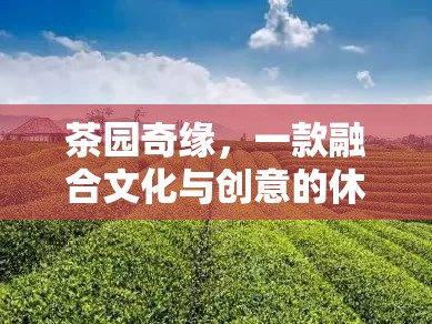 茶園奇緣，文化與創(chuàng)意的休閑游戲之旅