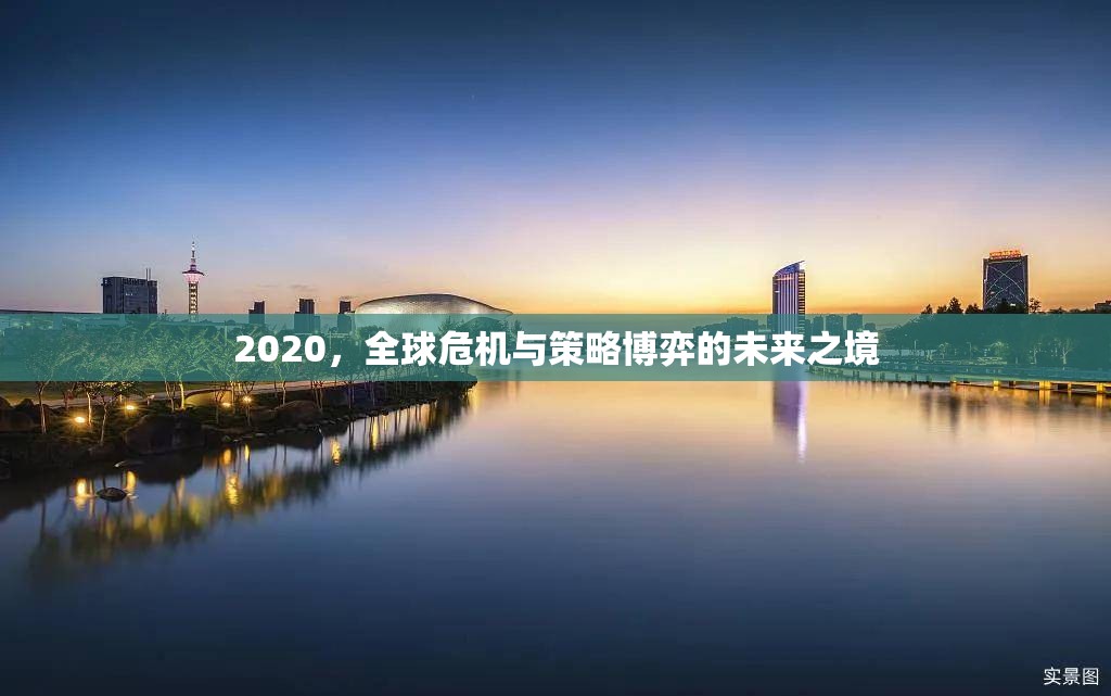 全球危機(jī)與策略博弈，2020年的未來之境