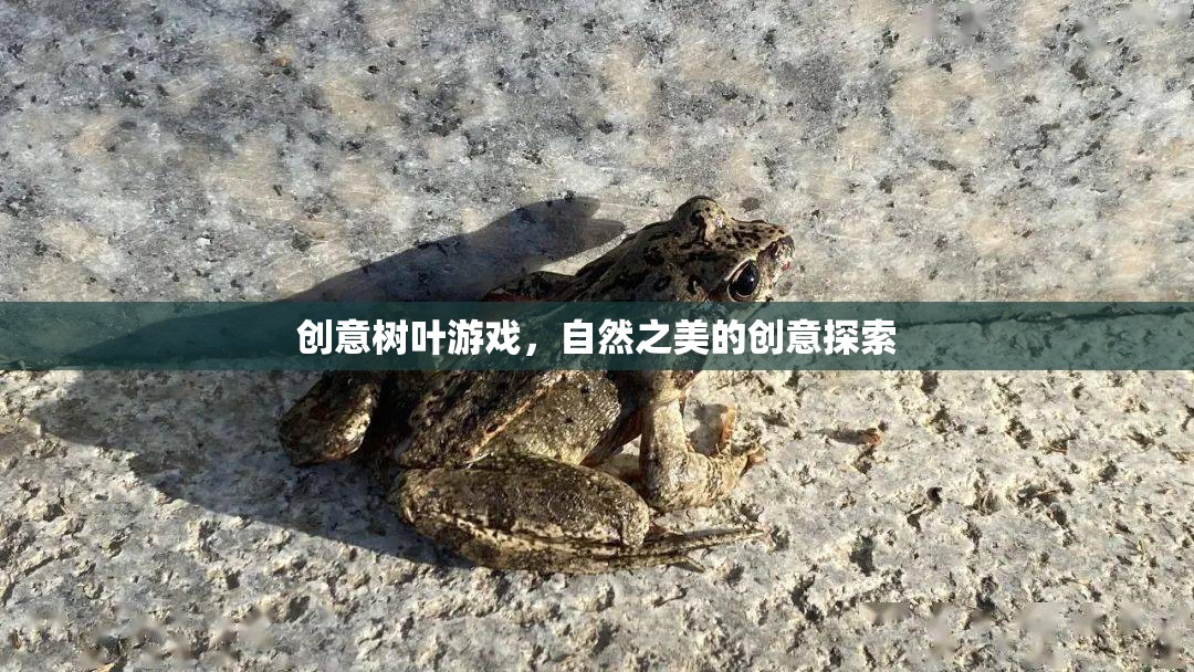 創(chuàng)意樹葉游戲，探索自然之美的獨特創(chuàng)意