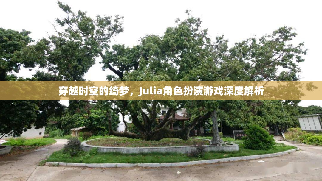 穿越時空的綺夢，Julia角色扮演游戲深度解析