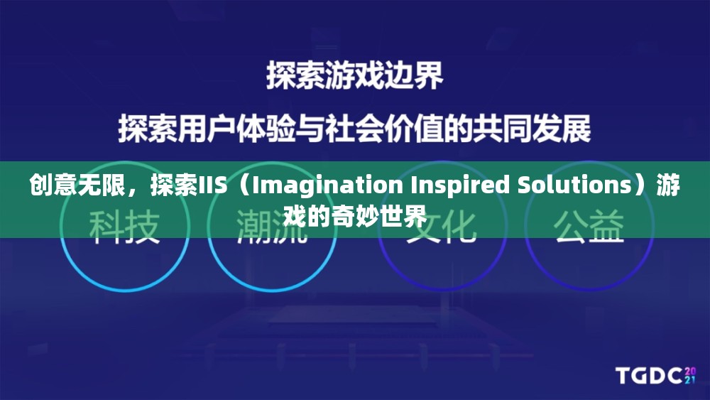 IIS（Imagination Inspired Solutions）游戲，解鎖創(chuàng)意無限的游戲世界