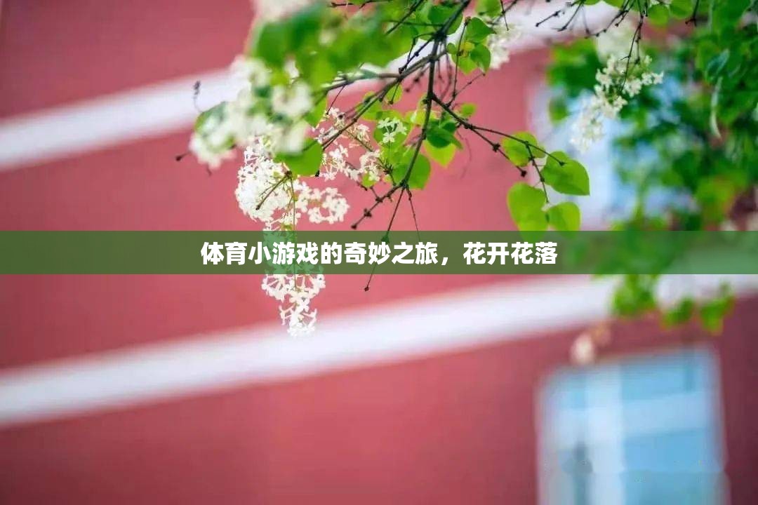 體育小游戲的奇妙之旅，花開花落