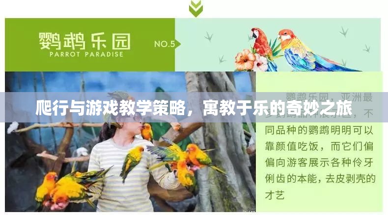 爬行與游戲教學(xué)策略，寓教于樂的奇妙之旅