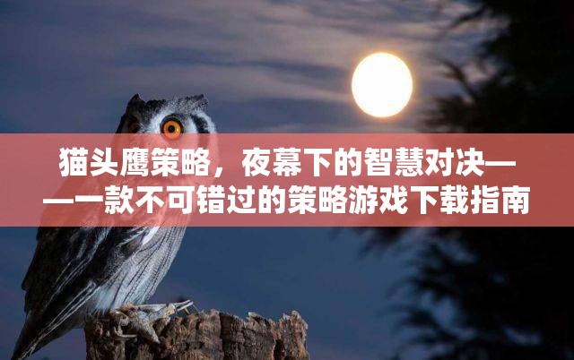 夜幕下的智慧對決，貓頭鷹策略游戲下載指南