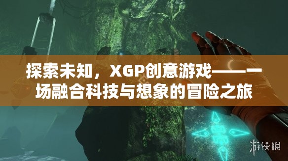 XGP創(chuàng)意游戲，一場(chǎng)科技與想象的融合冒險(xiǎn)之旅