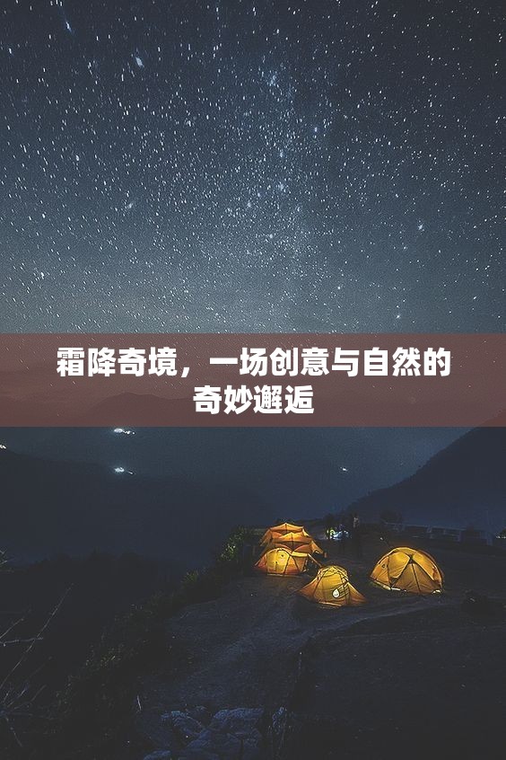 霜降奇境，創(chuàng)意與自然的夢幻交融