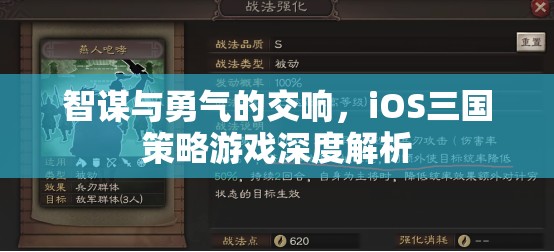 智謀與勇氣的交響，iOS三國策略游戲深度解析