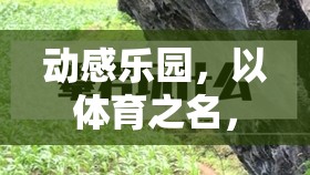 動感樂園，以體育之名，樂在游中