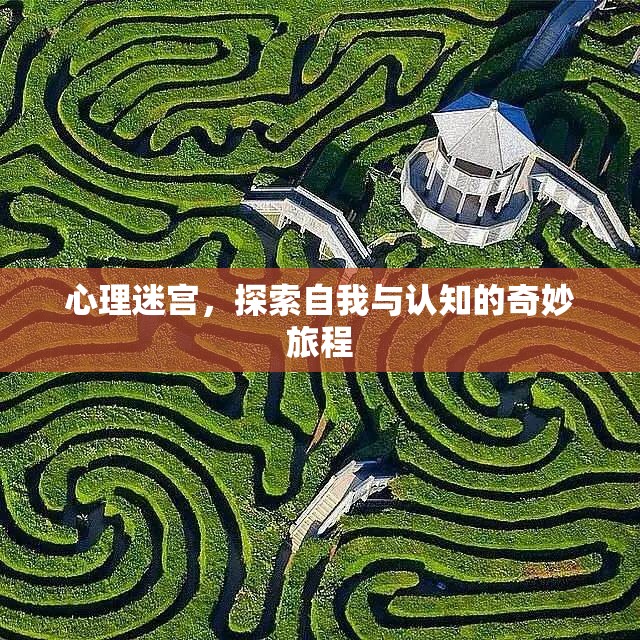 心理迷宮，一場(chǎng)探索自我與認(rèn)知的奇妙旅程