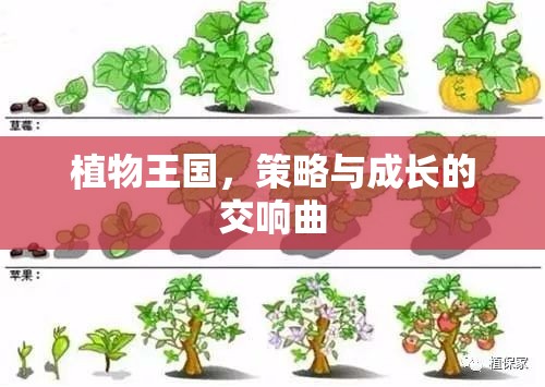 植物王國的策略與成長交響曲