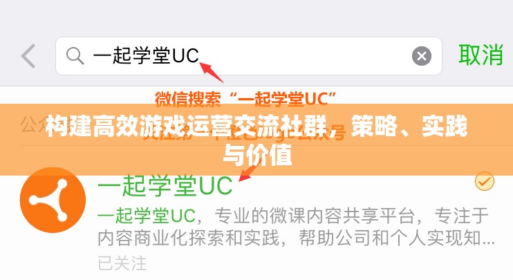 構(gòu)建高效游戲運(yùn)營(yíng)交流社群，策略、實(shí)踐與價(jià)值共創(chuàng)