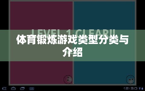 體育鍛煉游戲類型分類與介紹