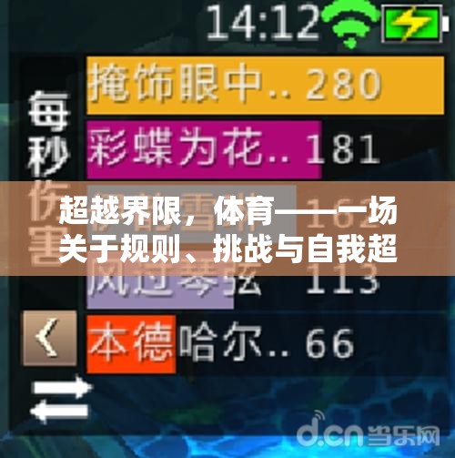 超越界限，體育——一場關于規(guī)則、挑戰(zhàn)與自我超越的大游戲