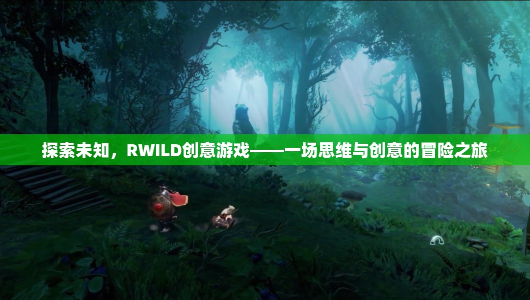 RWILD創(chuàng)意游戲，一場探索未知的思維與創(chuàng)意冒險(xiǎn)之旅