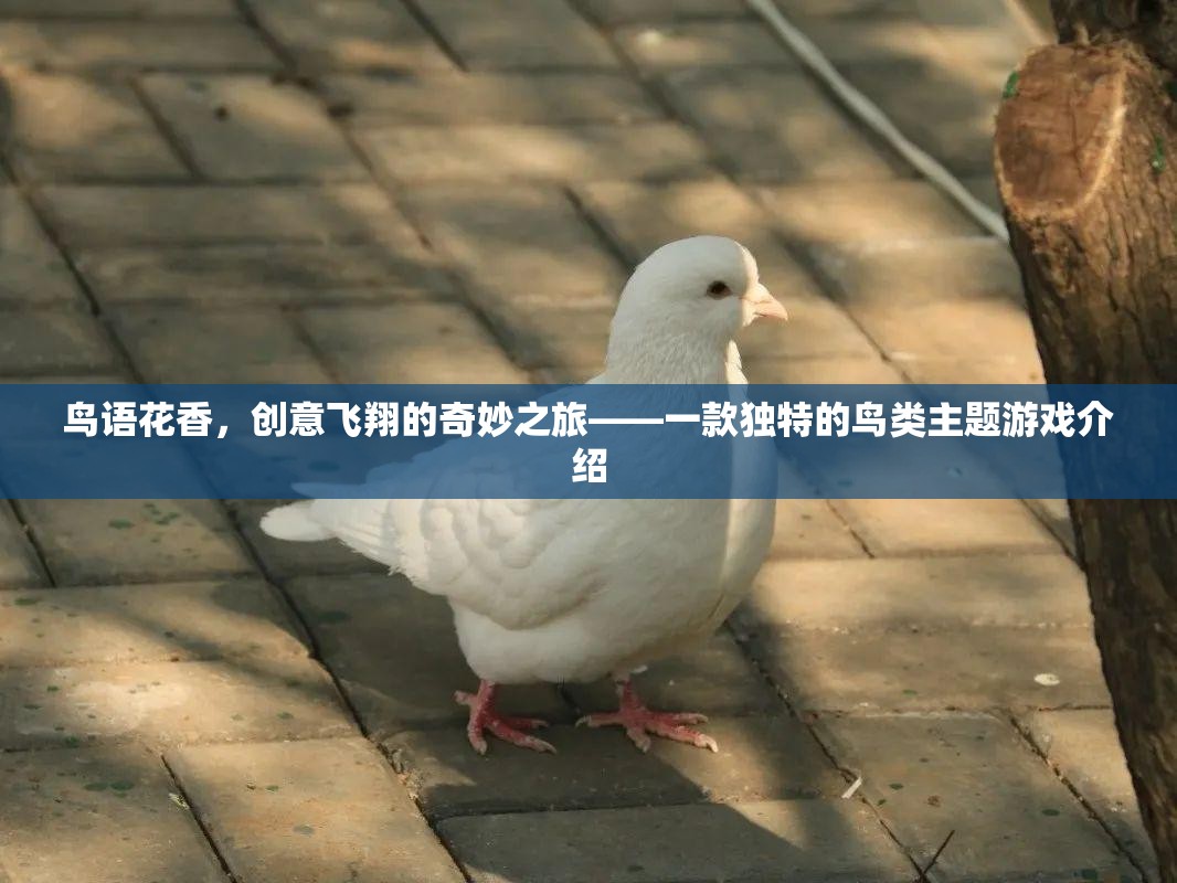 鳥語花香，創(chuàng)意飛翔的奇妙之旅——一款獨特的鳥類主題游戲介紹