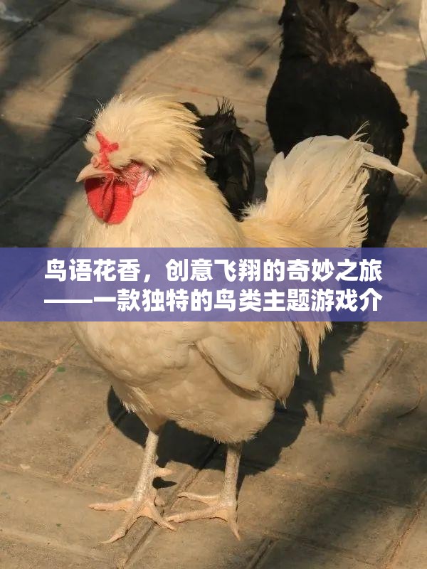 鳥語花香，創(chuàng)意飛翔的奇妙之旅——一款獨特的鳥類主題游戲介紹