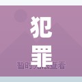 邊緣智慧，犯罪創(chuàng)意游戲的較量