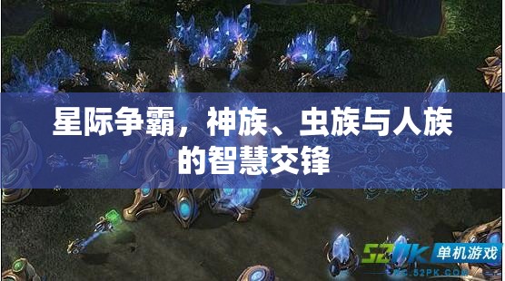 星際爭霸，神族、蟲族與人族的智慧對決