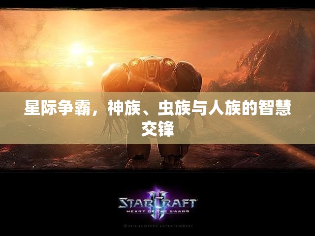 星際爭霸，神族、蟲族與人族的智慧對決