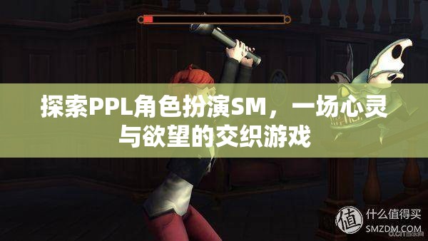 探索PPL角色扮演SM，一場(chǎng)心靈與欲望的交織游戲