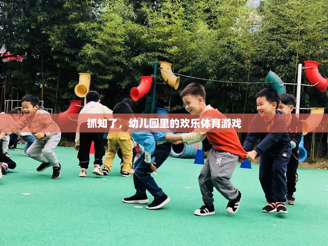 抓知了，幼兒園里的歡樂體育游戲