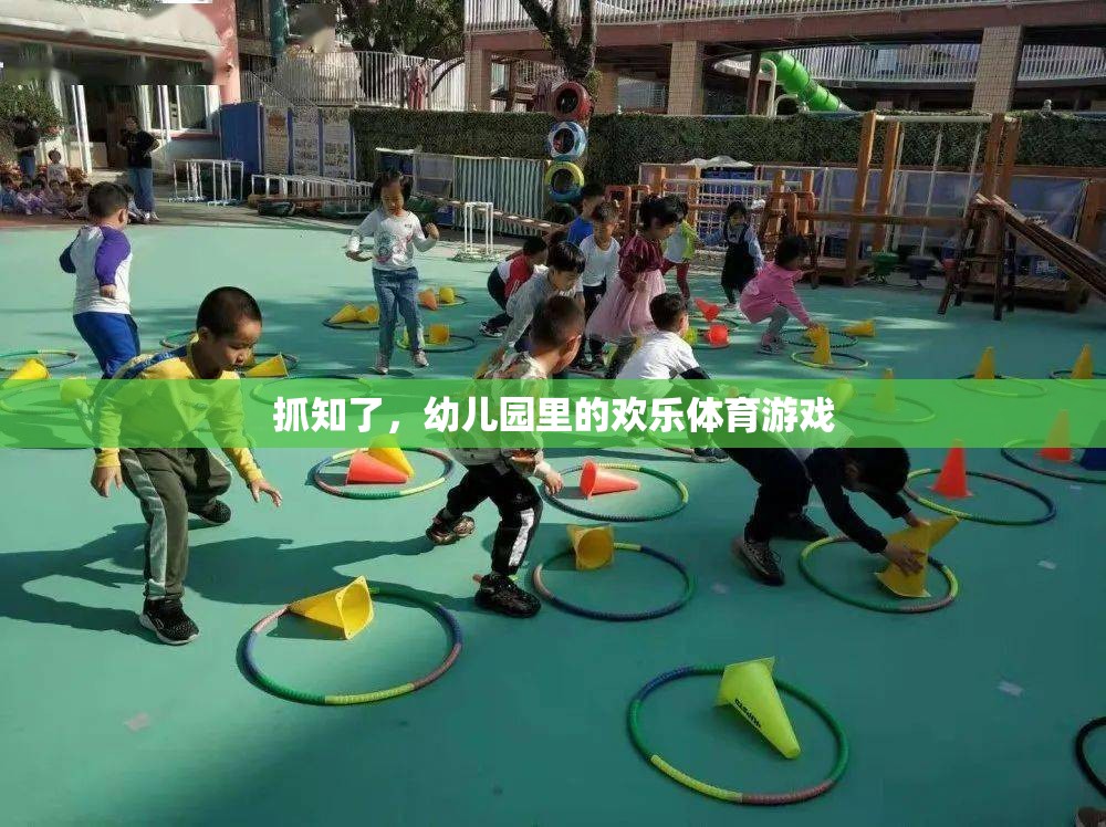 抓知了，幼兒園里的歡樂體育游戲