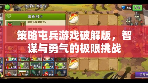 策略屯兵游戲破解版，智謀與勇氣的極限挑戰(zhàn)