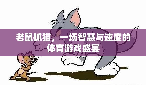 智速對(duì)決，老鼠抓貓的體育游戲盛宴