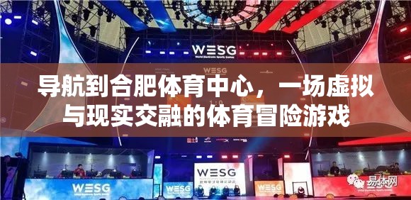 導航到合肥體育中心，一場虛擬與現(xiàn)實交融的體育冒險游戲