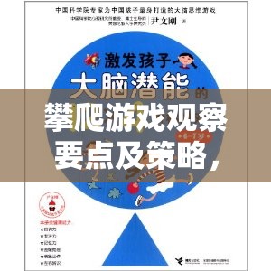 攀爬游戲，觀察要點(diǎn)與策略，平衡激發(fā)潛能與安全的藝術(shù)