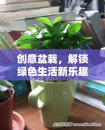 創(chuàng)意盆栽，解鎖綠色生活新樂(lè)趣的趣味游戲