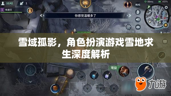 雪域孤影，角色扮演游戲雪地求生深度解析