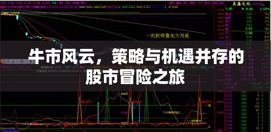 牛市風(fēng)云，策略與機(jī)遇并存的股市冒險(xiǎn)之旅