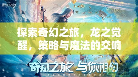 龍之覺(jué)醒，可變龍策略游戲的奇幻之旅與策略魔法交響