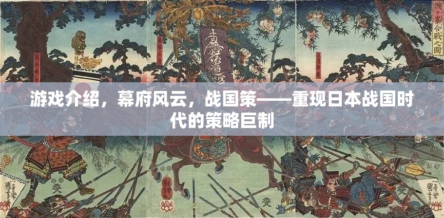 游戲介紹，幕府風(fēng)云，戰(zhàn)國(guó)策——重現(xiàn)日本戰(zhàn)國(guó)時(shí)代的策略巨制