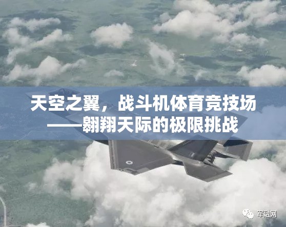 天空之翼，戰(zhàn)斗機體育競技場——極限挑戰(zhàn)的翱翔之旅