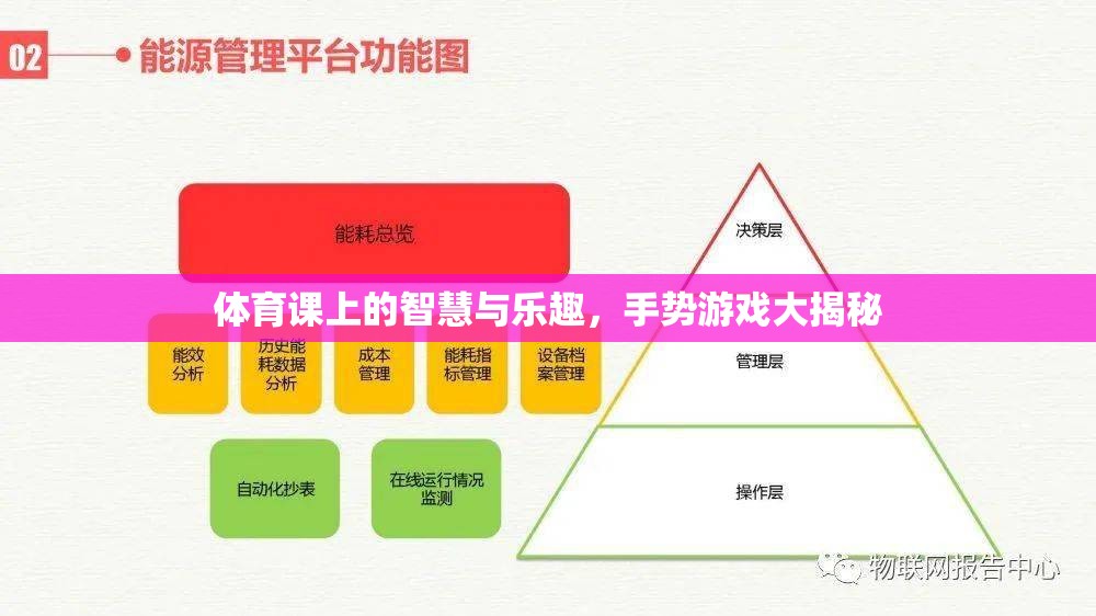 體育課上的智慧與樂(lè)趣，手勢(shì)游戲大揭秘