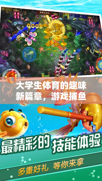 大學(xué)生體育的趣味新篇章，游戲捕魚