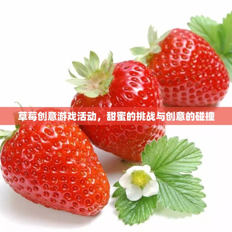 草莓創(chuàng)意游戲，甜蜜挑戰(zhàn)與創(chuàng)意的火花碰撞