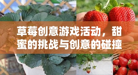 草莓創(chuàng)意游戲，甜蜜挑戰(zhàn)與創(chuàng)意的火花碰撞