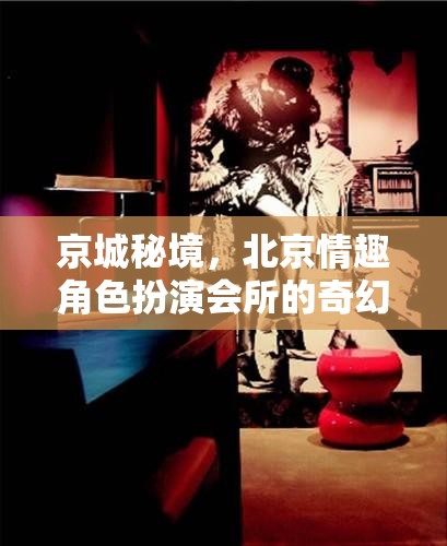 京城秘境，北京情趣角色扮演會所的奇幻之旅