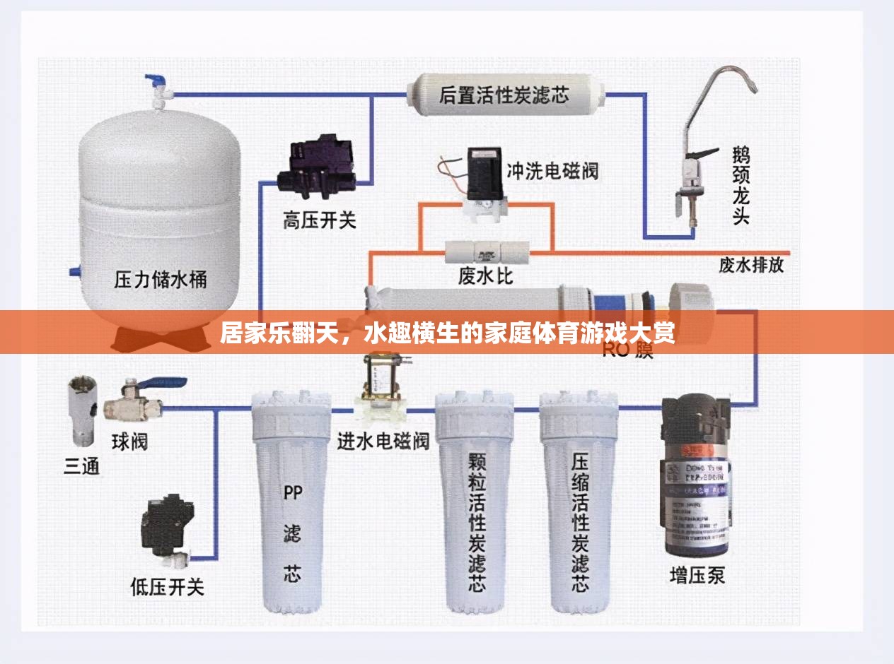 家庭水趣橫生，居家樂翻天的體育游戲大賞